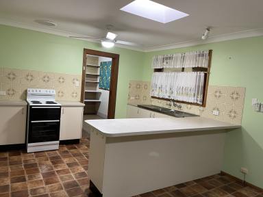 Acreage/Semi-rural For Lease - NSW - Kundle Kundle - 2430 - Country Living Perfection  (Image 2)