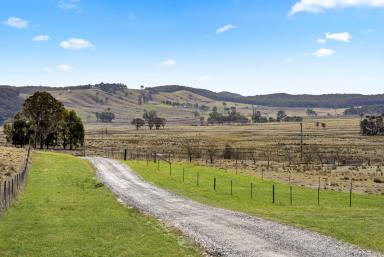 Farmlet Auction - NSW - Crookwell - 2583 - Enjoy the Quiet Life  (Image 2)