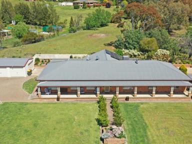 House For Sale - NSW - Young - 2594 - Spacious Family Home on a Rare 3,349m2* Allotment Only Minutes to Town  (Image 2)