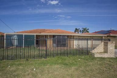 House For Sale - WA - Mirrabooka - 6061 - SEMI RENOVATED FAMILY HOME (Image 2)