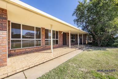 House For Lease - NSW - Dubbo - 2830 - Five-Bedroom Home in Eastridge Estate  (Image 2)