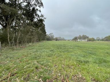 Farmlet For Sale - VIC - Willung - 3847 - Willung Rural Retreat - For recreation, equine or the hobby farm enthusiast  (Image 2)