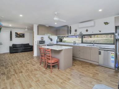 Acreage/Semi-rural For Sale - VIC - Bruthen - 3885 - PRIVATE OFF-GRID SANCTUARY ON 20 ACRES OF NATIVE BUSHLAND  (Image 2)