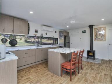 Acreage/Semi-rural For Sale - VIC - Bruthen - 3885 - PRIVATE OFF-GRID SANCTUARY ON 20 ACRES OF NATIVE BUSHLAND  (Image 2)