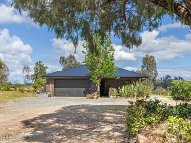 House For Sale - VIC - Wiseleigh - 3885 - MODERN COUNTRY LIVING AT ITS FINEST  (Image 2)