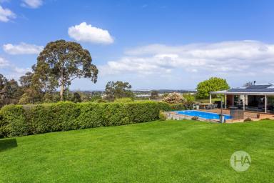 House For Sale - VIC - Tyabb - 3913 - Immaculate Living with Panoramic Views  (Image 2)