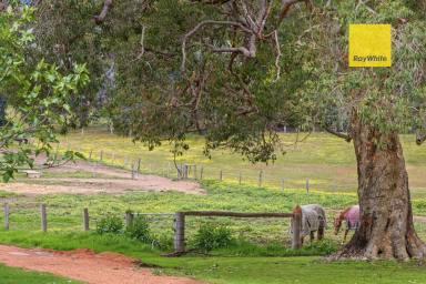 Other (Residential) For Sale - WA - North Greenbushes - 6254 - Country Living at its best!  (Image 2)