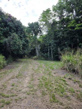 Residential Block For Sale - QLD - Ellerbeck - 4816 - Rural Lifestyle Opportunity – 127 Acres of Coastal Land Near Cardwell  (Image 2)