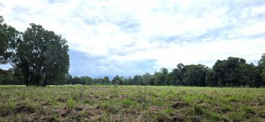 Residential Block For Sale - QLD - Ellerbeck - 4816 - Rural Lifestyle Opportunity – 127 Acres of Coastal Land Near Cardwell  (Image 2)