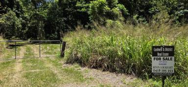 Residential Block For Sale - QLD - Ellerbeck - 4816 - Rural Lifestyle Opportunity – 127 Acres of Coastal Land Near Cardwell (Image 2)