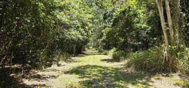 Residential Block For Sale - QLD - Ellerbeck - 4816 - Rural Lifestyle Opportunity – 127 Acres of Coastal Land Near Cardwell (Image 2)