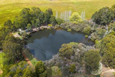 Lifestyle For Sale - WA - Wellington Forest - 6236 - Seclusion, Water & Natural Beauty  (Image 2)