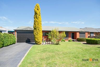 House For Sale - VIC - Eastwood - 3875 - Stunning Panoramic Views – Modern Comfort Meets Country Living  (Image 2)