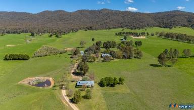 House For Sale - VIC - Myrtleford - 3737 - Rosewhite Lifestyle  (Image 2)