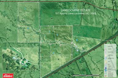 Mixed Farming For Sale - VIC - Locksley - 3665 - Lansdowne Estate – 958 Acres of Productive Farm Capability with Refined Country Living  (Image 2)