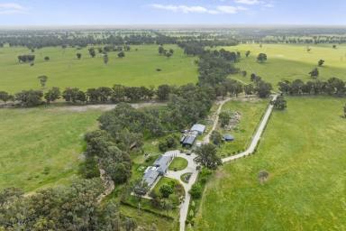 Mixed Farming For Sale - VIC - Locksley - 3665 - Lansdowne Estate – 958 Acres of Productive Farm Capability with Refined Country Living  (Image 2)