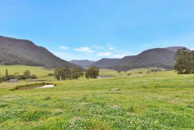 Lifestyle For Sale - NSW - Laguna - 2325 - ‘Oaklyn’ - Offered for the First Time in Three Generations  (Image 2)