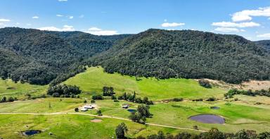 Lifestyle For Sale - NSW - Laguna - 2325 - ‘Oaklyn’ - Offered for the First Time in Three Generations  (Image 2)