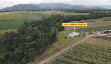 House For Sale - QLD - Abergowrie - 4850 - RENOVATED RURAL RETREAT ON 3,642 SQ.M. (JUST UNDER 1 ACRE) BLOCK!  (Image 2)