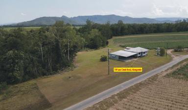 House For Sale - QLD - Abergowrie - 4850 - RENOVATED RURAL RETREAT ON 3,642 SQ.M. (JUST UNDER 1 ACRE) BLOCK!  (Image 2)