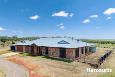 House For Sale - QLD - North Isis - 4660 - 7.9 ACRES - MASSIVE FAMILY HOME IN NORTH ISIS  (Image 2)