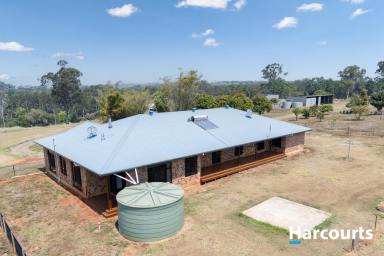 House For Sale - QLD - North Isis - 4660 - 7.9 ACRES - MASSIVE FAMILY HOME IN NORTH ISIS  (Image 2)