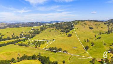 Other (Rural) For Sale - NSW - Singleton - 2330 - 112 acres with Building Entitlement | Double frontage to Glennies Creek  (Image 2)