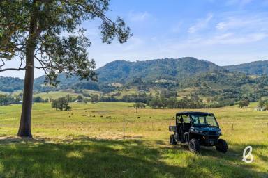 Other (Rural) For Sale - NSW - Singleton - 2330 - 112 acres with Building Entitlement | Double frontage to Glennies Creek  (Image 2)