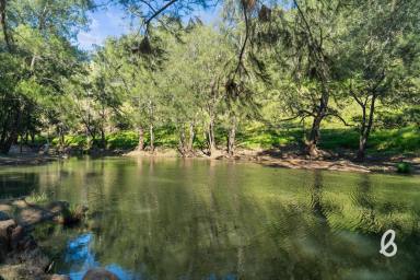 Other (Rural) For Sale - NSW - Singleton - 2330 - 112 acres with Building Entitlement | Frontage to Glennies Creek (Image 2)