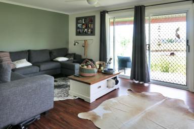 House For Lease - NSW - Emmaville - 2371 - Spacious Family Home  (Image 2)