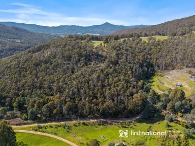Residential Block For Sale - TAS - Crabtree - 7109 - Affordable Land Opportunity  (Image 2)