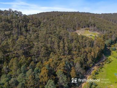 Residential Block For Sale - TAS - Crabtree - 7109 - Affordable Land Opportunity  (Image 2)