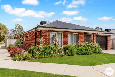 House For Sale - VIC - Baranduda - 3691 - QUALITY FAMILY HOME IN THE HEART OF BARANDUDA  (Image 2)