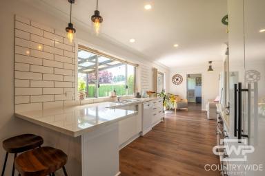 House For Sale - NSW - Glen Innes - 2370 - Charming Family Home with Outdoor Entertaining & More  (Image 2)