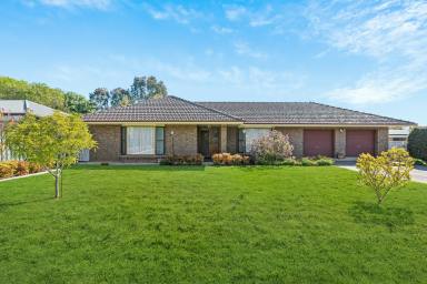 House For Sale - SA - Hahndorf - 5245 - A family home built to last  (Image 2)
