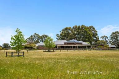 House For Sale - WA - Hopeland - 6125 - 90 Glorious Rural Acres, Abundant Water & Beautiful Homestead - What A Package!  (Image 2)