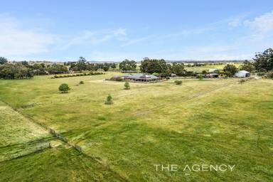 House For Sale - WA - Hopeland - 6125 - 90 Glorious Rural Acres, Abundant Water & Beautiful Homestead - What A Package!  (Image 2)