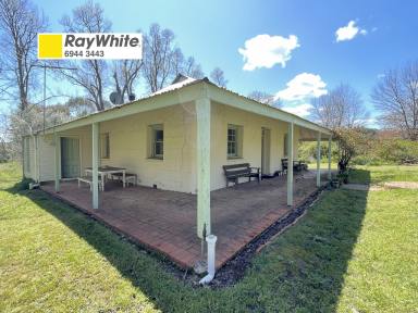 House For Sale - NSW - Mount Horeb - 2729 - Historic pise cottage on 9.3 acres  (Image 2)