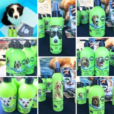 Business For Sale - NSW - Sydney - 2000 - Award-Winning Australian Dog Haircare Brand with Global E-Commerce Opportunity  (Image 2)