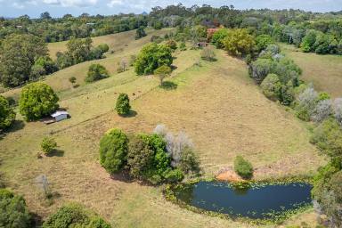 House For Sale - QLD - Black Mountain - 4563 - Noosa Hinterland - 22.75ha - Land Bank or Develop  (Image 2)