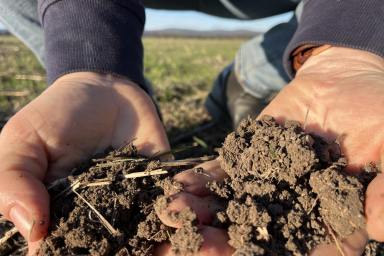 Mixed Farming For Sale - NSW - Bimbi - 2810 - 1,500ACRES* OF HIGH-QUALITY CROPPING COUNTRY - LEASE & OR CONTRACT FARMING AVAILABLE!  (Image 2)