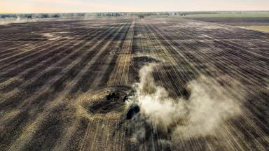 Mixed Farming For Sale - NSW - Bimbi - 2810 - 1,500ACRES* OF HIGH-QUALITY CROPPING COUNTRY - LEASE & OR CONTRACT FARMING AVAILABLE!  (Image 2)