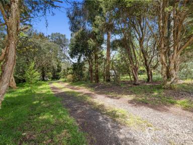 Residential Block For Sale - VIC - Foster - 3960 - BUILD YOUR DREAM HOME  (Image 2)