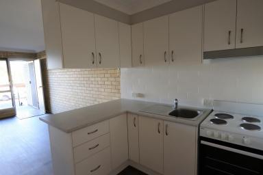 Unit For Lease - NSW - Inverell - 2360 - Renovated Unit Close to CBD  (Image 2)