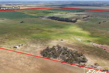 Mixed Farming For Sale - SA - Langhorne Creek - 5255 - Secure Water Supply – Broadacre Cropping, Livestock Grazing & Boutique Vineyard  (Image 2)