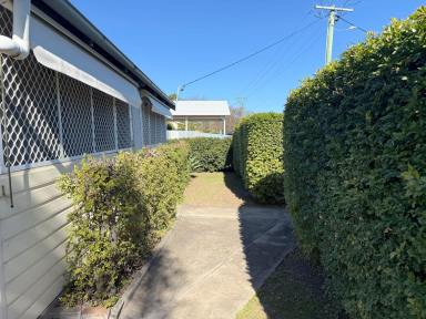 House For Lease - NSW - Moree - 2400 - Close to Aquatic Centre and Train Station  (Image 2)