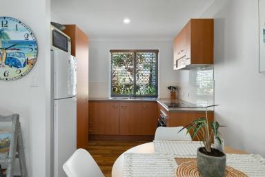 House For Sale - QLD - Cooran - 4569 - Immaculate Home on 1055sqm with Shed and Charm  (Image 2)