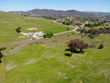 Residential Block For Sale - NSW - Adelong - 2729 - Lifestyle Block!  (Image 2)