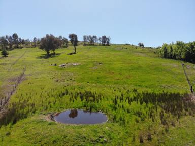 Residential Block For Sale - NSW - Adelong - 2729 - Lifestyle Block!  (Image 2)