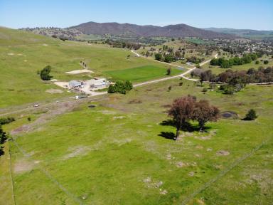 Residential Block For Sale - NSW - Adelong - 2729 - Lifestyle Block!  (Image 2)